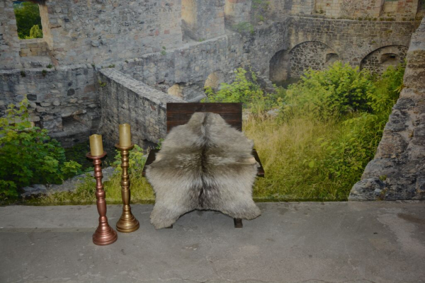 Edle Niederländische Landziege Hobby Beruf Deko (öko)